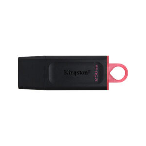 Kingston DTX 256GB Pendrive