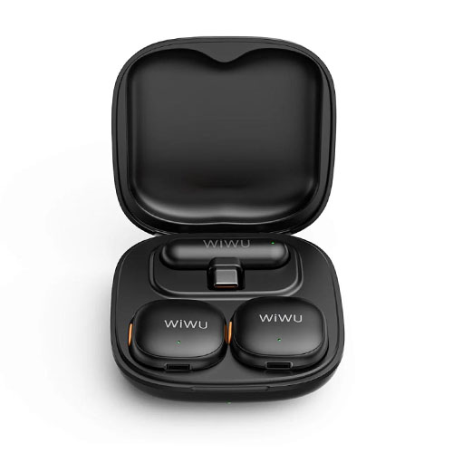 Wiwu WI-WM006 Type C AI ANC Microphone ii Wiwu WI-WM006 Type C AI ANC Microphone ii