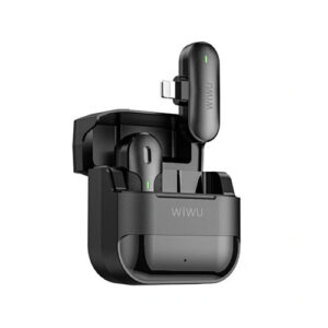 Wiwu WI-WM001 Type C Mini Microphone
